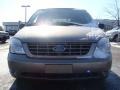 Arizona Beige Metallic - Freestar SE Photo No. 2