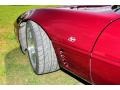 1993 Ruby Red Metallic Chevrolet Corvette 40th Anniversary Coupe  photo #30