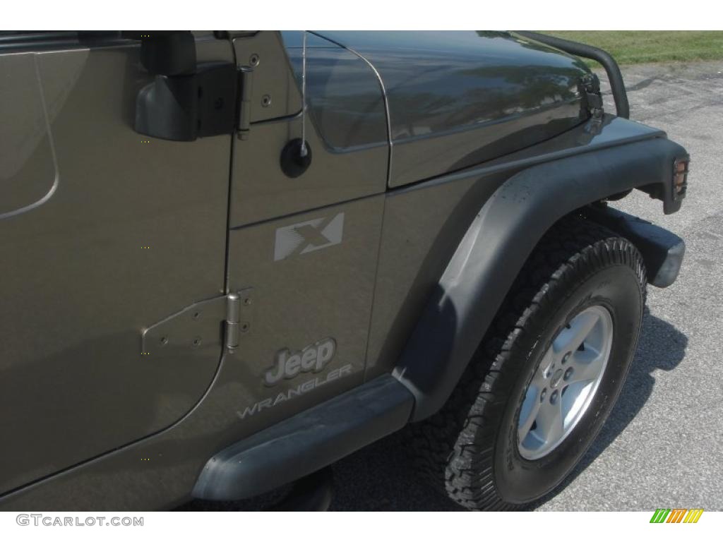 2004 Wrangler X 4x4 - Light Khaki Metallic / Dark Slate Gray photo #9