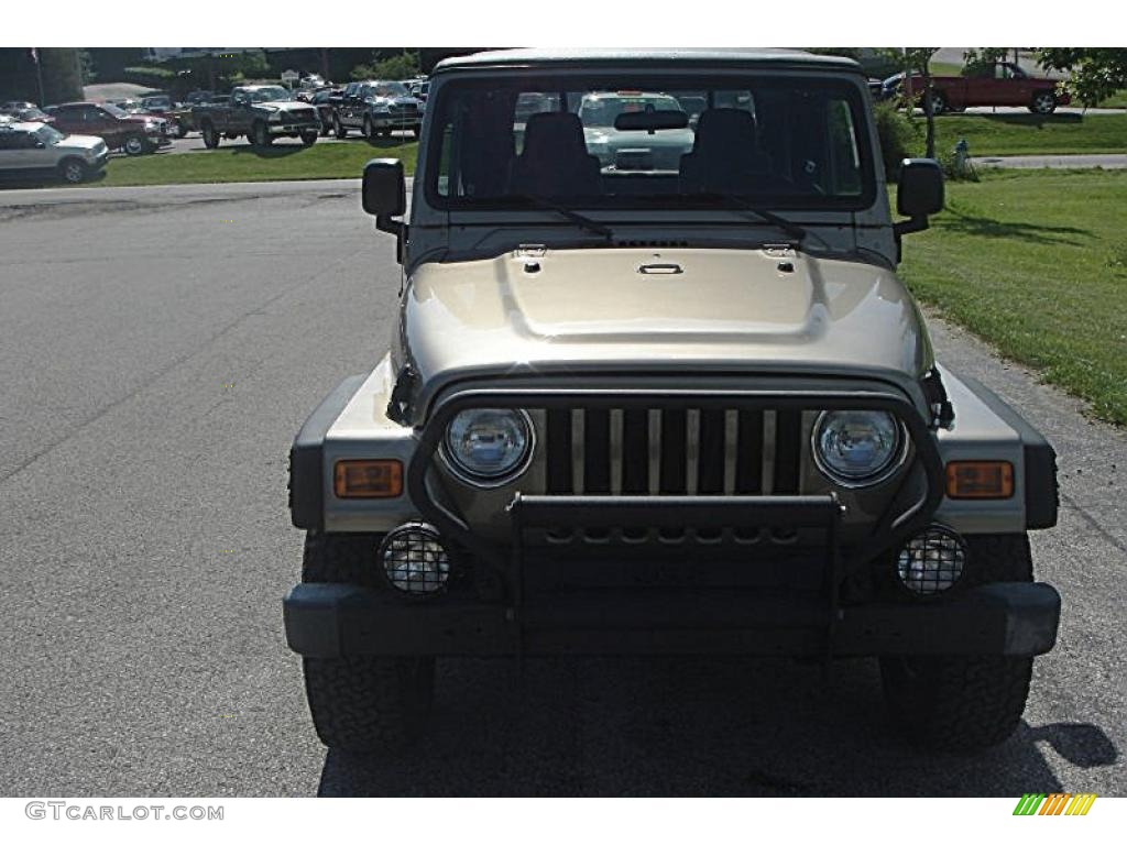 2004 Wrangler X 4x4 - Light Khaki Metallic / Dark Slate Gray photo #11