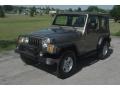 2004 Light Khaki Metallic Jeep Wrangler X 4x4  photo #12