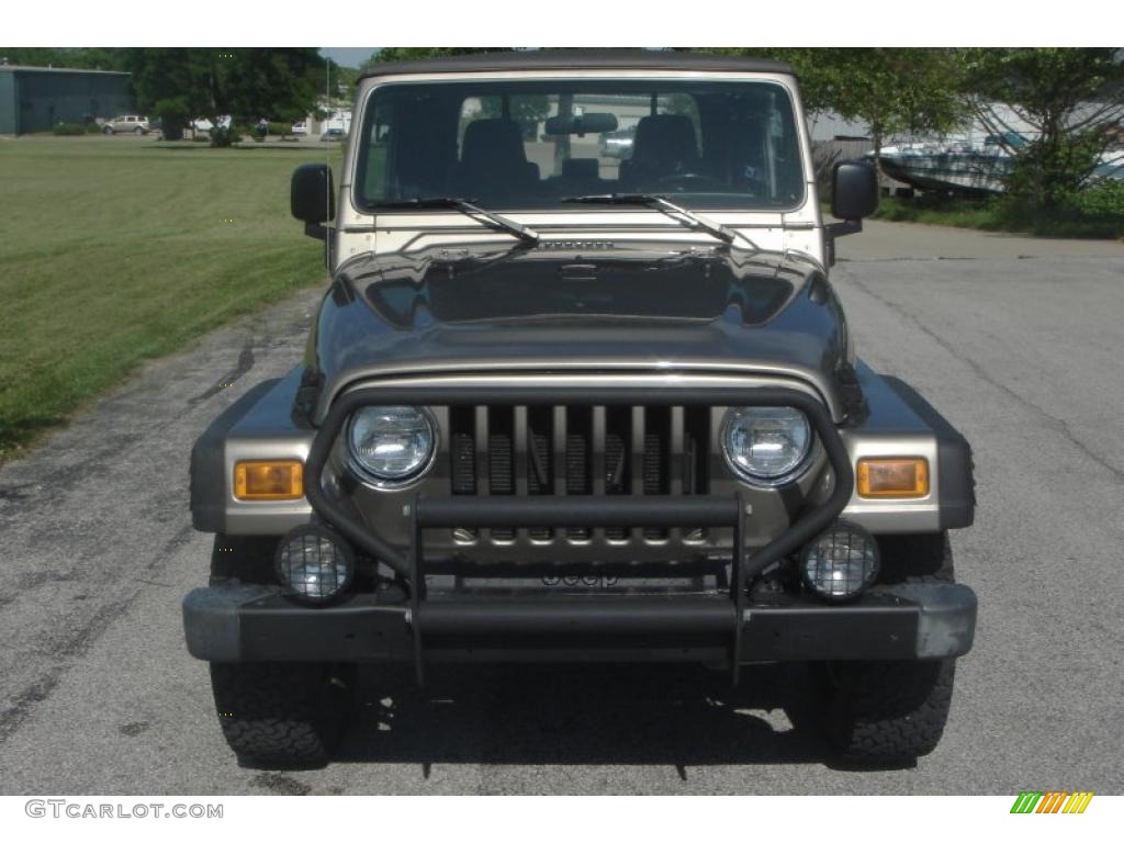 2004 Wrangler X 4x4 - Light Khaki Metallic / Dark Slate Gray photo #15