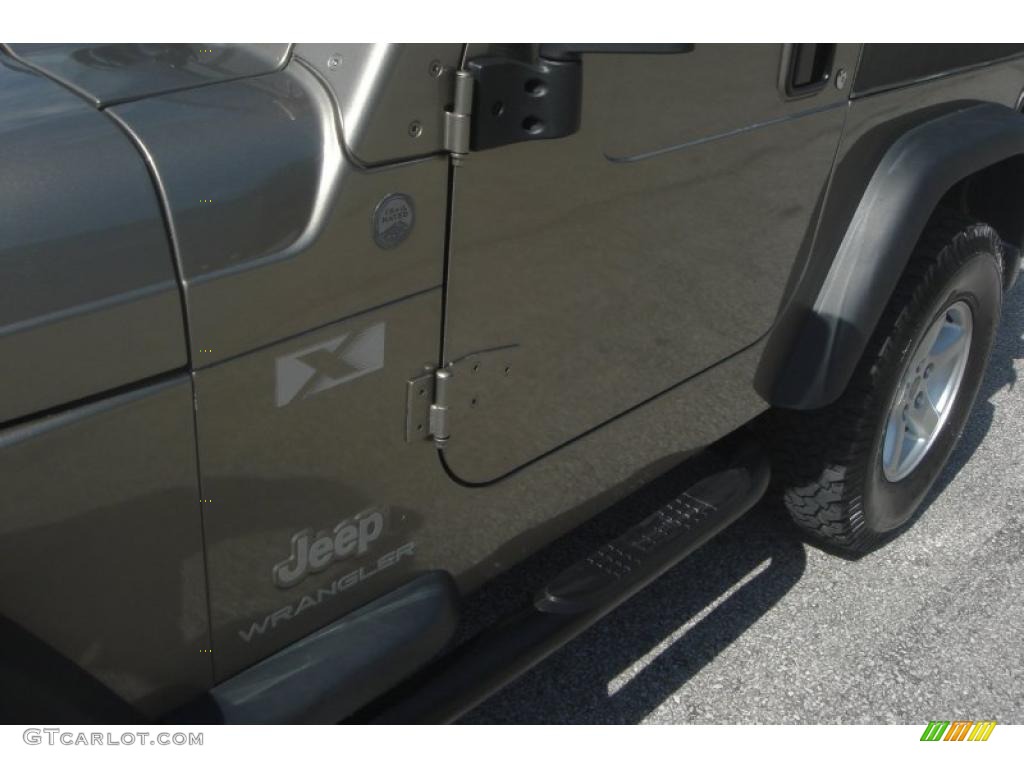 2004 Wrangler X 4x4 - Light Khaki Metallic / Dark Slate Gray photo #18