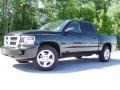 Brilliant Black - Dakota Big Horn Crew Cab 4x4 Photo No. 8