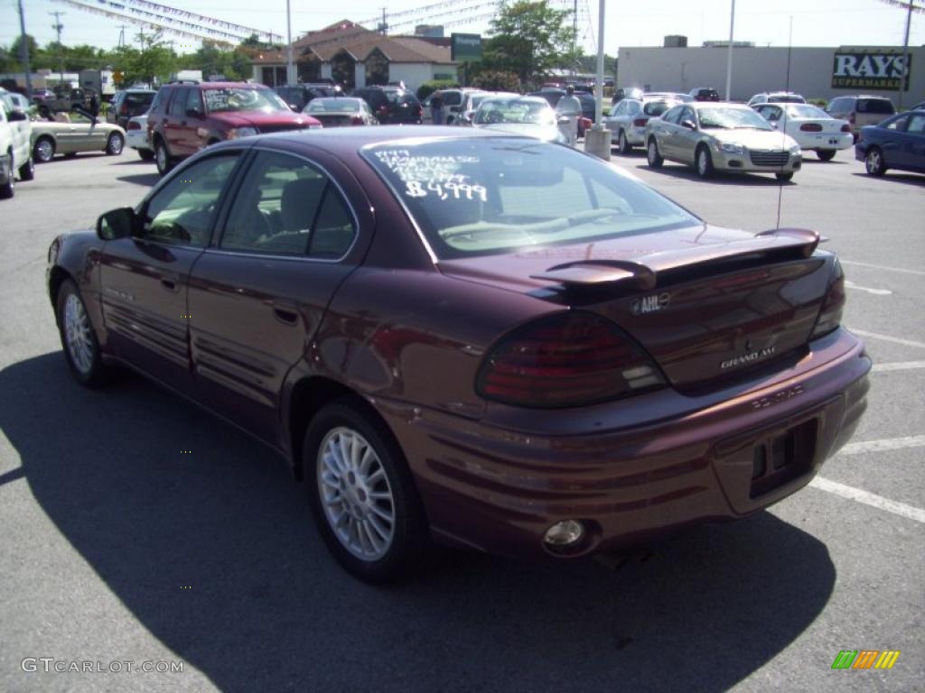 1999 Grand Am SE Sedan - Auburn Mist Metallic / Dark Taupe photo #14
