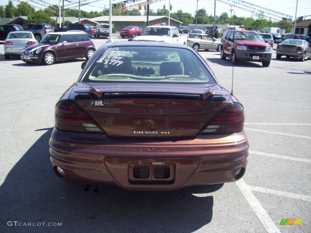1999 Grand Am SE Sedan - Auburn Mist Metallic / Dark Taupe photo #17