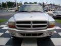 Bright Silver Metallic - Durango Sport Photo No. 4