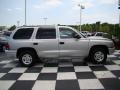 Bright Silver Metallic - Durango Sport Photo No. 6