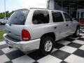 Bright Silver Metallic - Durango Sport Photo No. 7