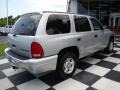 2002 Bright Silver Metallic Dodge Durango Sport  photo #7