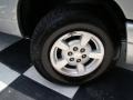 Bright Silver Metallic - Durango Sport Photo No. 30