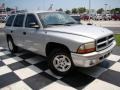 2002 Bright Silver Metallic Dodge Durango Sport  photo #31