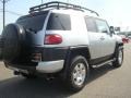 Titanium Metallic - FJ Cruiser 4WD Photo No. 6