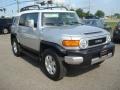 Titanium Metallic - FJ Cruiser 4WD Photo No. 9