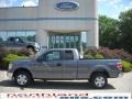 2010 Sterling Grey Metallic Ford F150 XLT SuperCab 4x4  photo #1