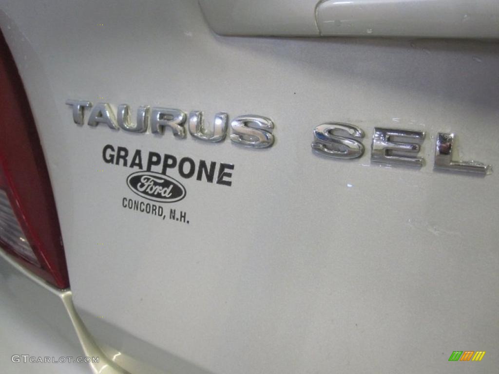 2004 Taurus SEL Sedan - Gold Ash Metallic / Medium Parchment photo #5