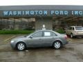Willow Gray - Sonata GLS Photo No. 1