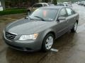 Willow Gray - Sonata GLS Photo No. 8