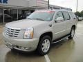 Quicksilver - Escalade  Photo No. 1