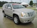 Quicksilver - Escalade  Photo No. 2