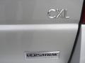 2006 Platinum Metallic Buick Terraza CXL AWD  photo #11