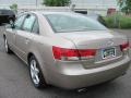 Golden Beige - Sonata LX V6 Photo No. 14