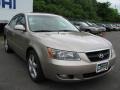 Golden Beige - Sonata LX V6 Photo No. 17