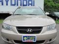 Golden Beige - Sonata LX V6 Photo No. 18