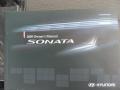 Willow Gray - Sonata GLS Photo No. 10