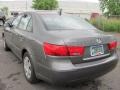 Willow Gray - Sonata GLS Photo No. 13
