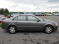 Willow Gray - Sonata GLS Photo No. 15