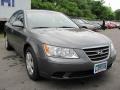 Willow Gray - Sonata GLS Photo No. 16