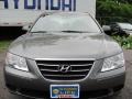 Willow Gray - Sonata GLS Photo No. 17