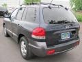 Steel Blue - Santa Fe GLS 4WD Photo No. 13