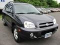 Steel Blue - Santa Fe GLS 4WD Photo No. 16