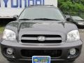 Steel Blue - Santa Fe GLS 4WD Photo No. 17