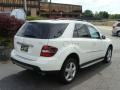 Arctic White - ML 350 4Matic Photo No. 3