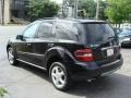 Black - ML 350 4Matic Photo No. 5
