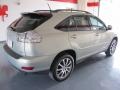 Millennium Silver Metallic - RX 350 AWD Photo No. 6