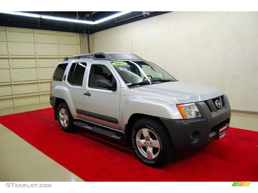 Silver Lightning Nissan Xterra