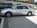 2006 Light Platinum Metallic Cadillac DTS Luxury  photo #50