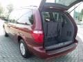 2007 Cognac Crystal Pearl Chrysler Town & Country LX  photo #13