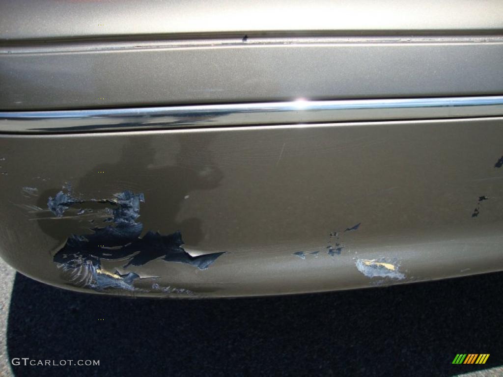 2003 Crown Victoria LX - Arizona Beige Metallic / Medium Parchment photo #30