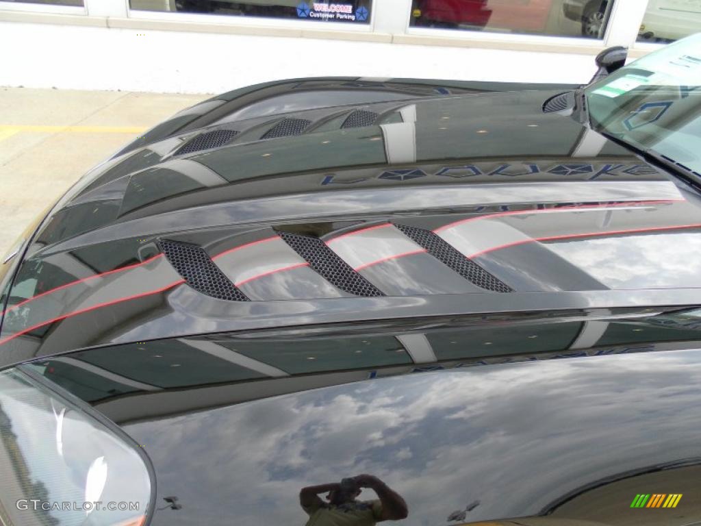 2010 Viper ACR VoooDoo Edition Coupe - Viper Black / Black photo #16