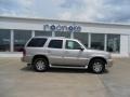 Quicksilver - Escalade AWD Photo No. 1