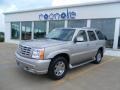 Quicksilver - Escalade AWD Photo No. 3
