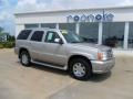Quicksilver - Escalade AWD Photo No. 25