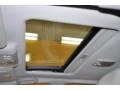 Sterling Mist Metallic - Maxima SE Photo No. 10
