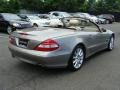 Pewter Metallic - SL 550 Roadster Photo No. 5