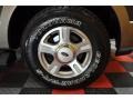 2003 Medium Wedgewood Blue Metallic Ford Expedition Eddie Bauer 4x4  photo #19